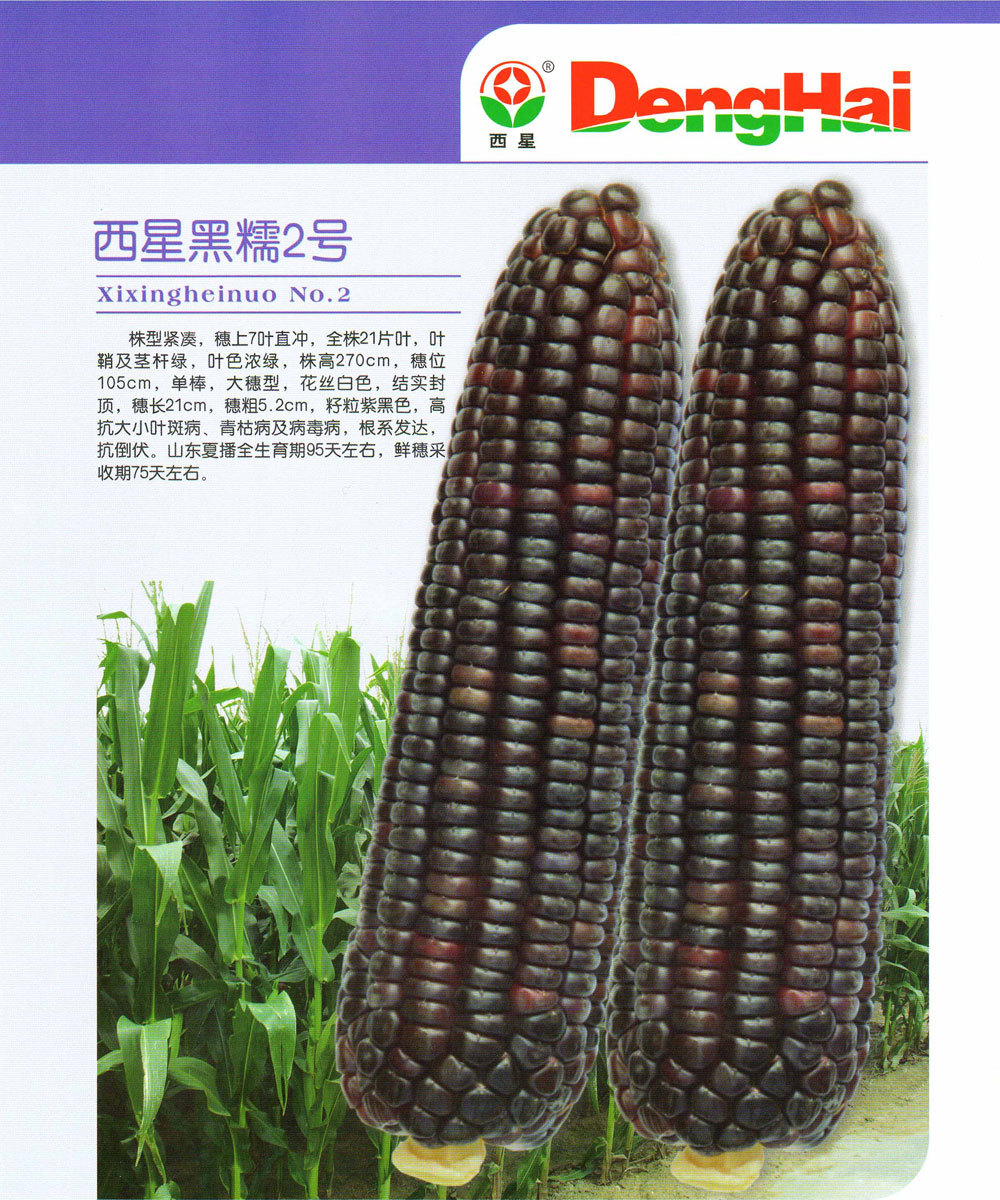 西星黑糯2号