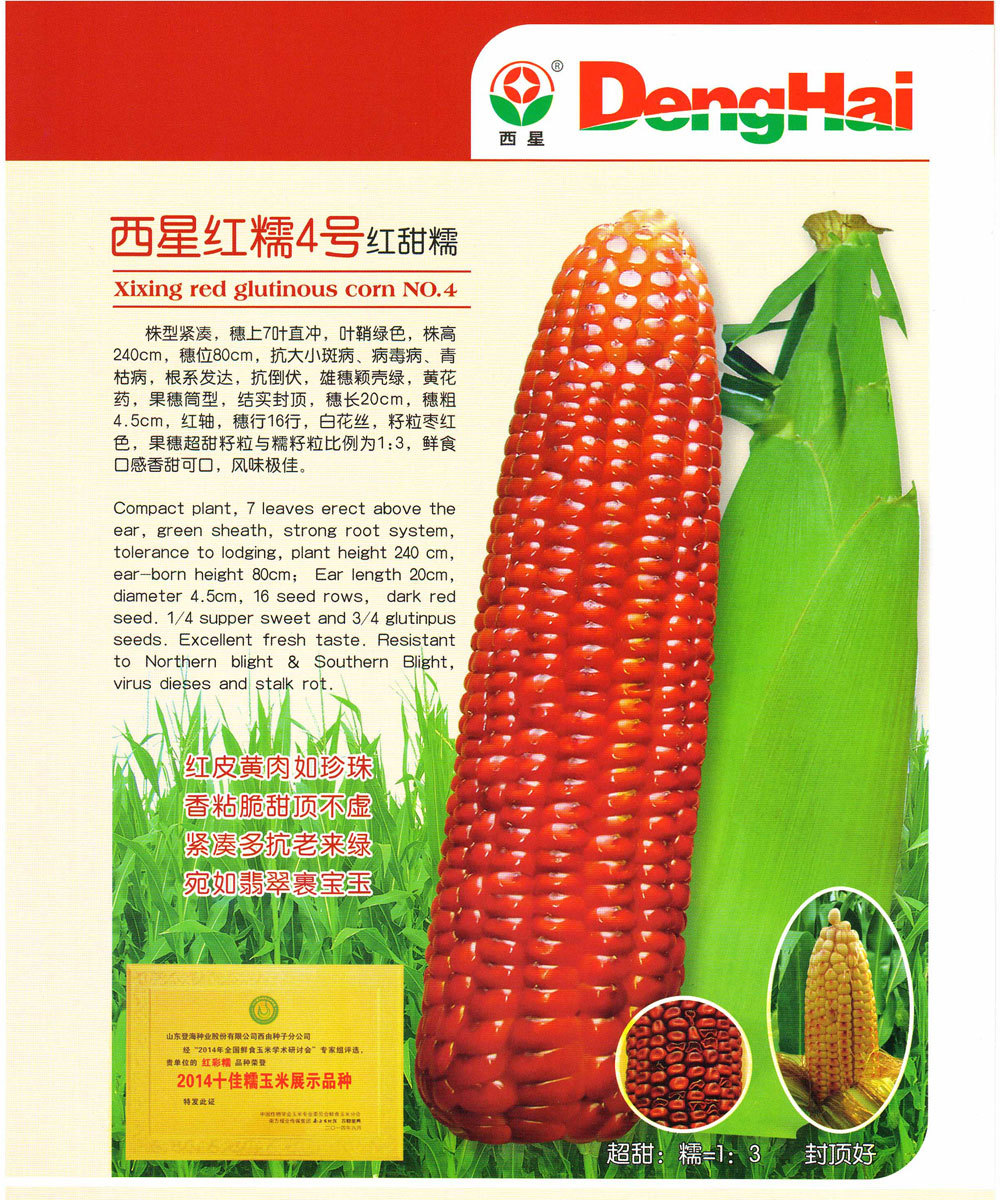 西星紅糯4号