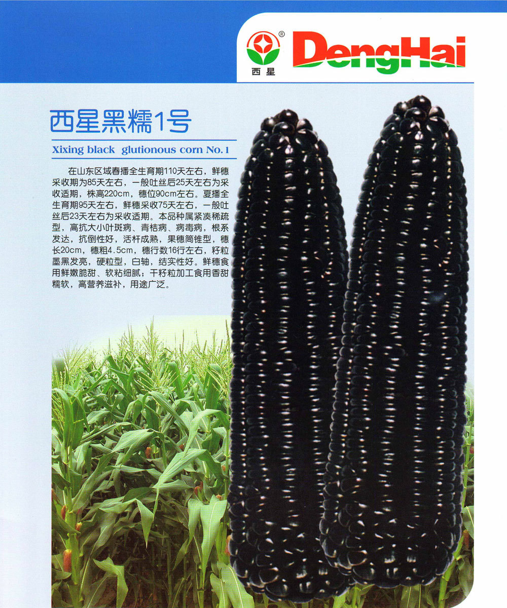 西星黑糯1号