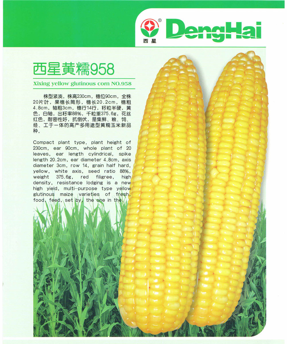 西星黃糯958