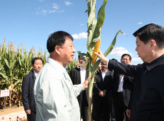 登海種業參加德州市秋季農業現場會暨秋季糧王大賽啓動、夏季糧王大賽表彰儀式