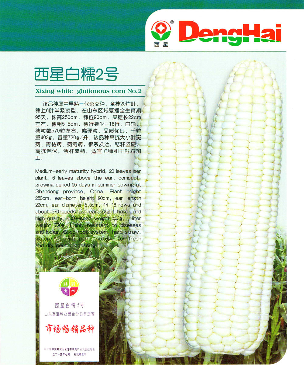 西星白糯2号